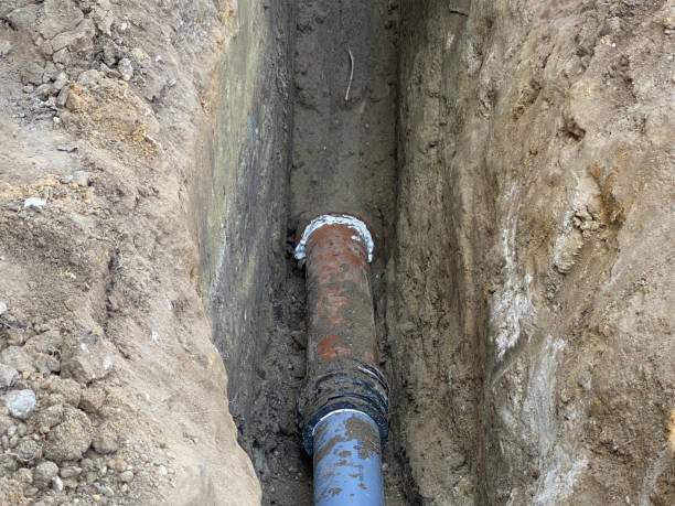 Best Sewage cleanup and water damage restoration  in Williamsport, PA