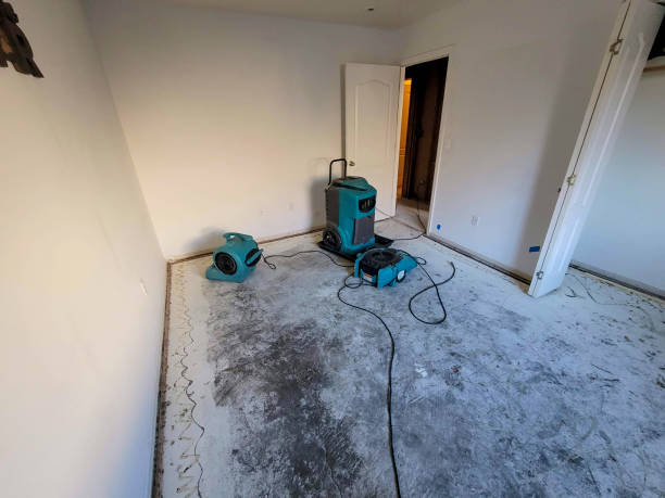 Best Professional water damage repair  in Williamsport, PA
